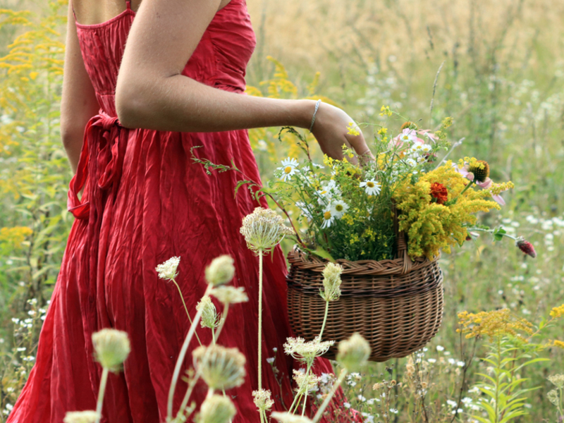 Procházka za bylinkami s ochutnávkou nebo výrobou bylinného oleje