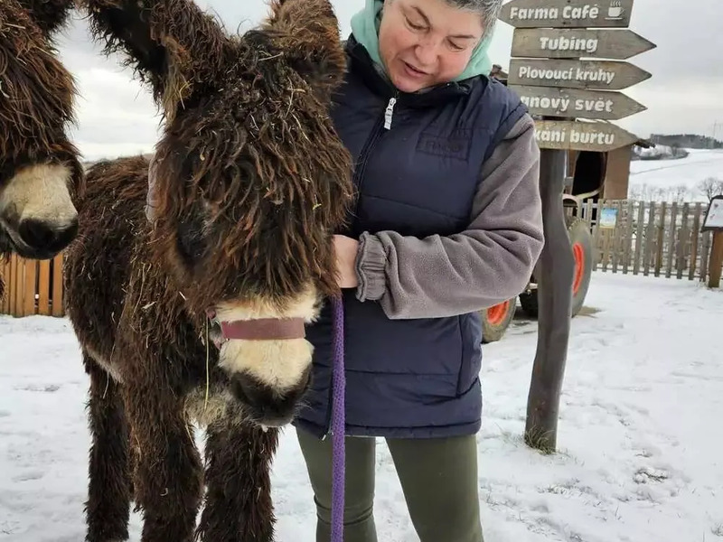 Celodenní vstup do Farmaparku Soběhrdy - Obrázek 8