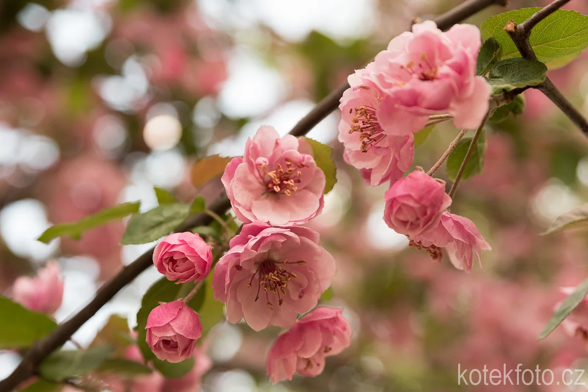 Individuální foto kurz pro 1–3 osoby - Obrázek 10