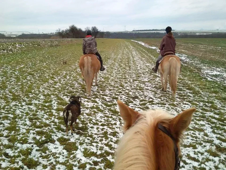 Procházka s oslíky i poníkem údolím Chomutovky - Obrázek 4