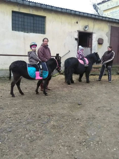 Procházka s oslíky i poníkem údolím Chomutovky - Obrázek 6