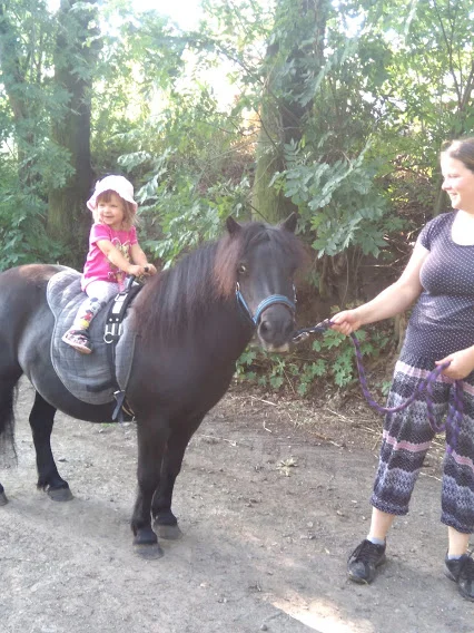 Procházka s oslíky i poníkem údolím Chomutovky - Obrázek 11