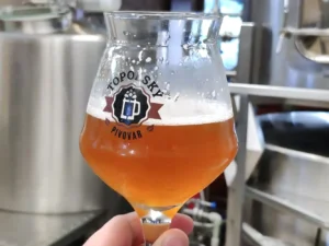 Prohlídka Topolského pivovaru vč. degustace