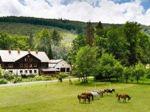 Penzion v Jeseníkách: snídaně, večeře i sauna