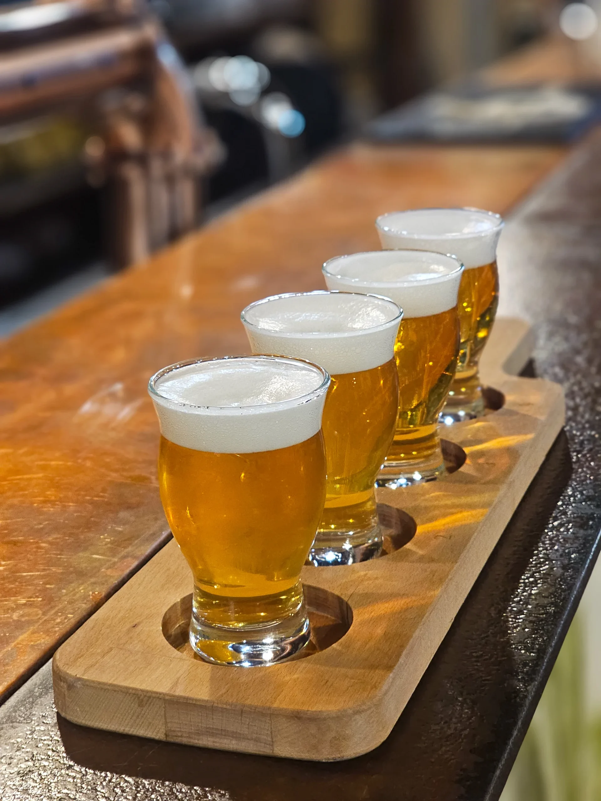 Prohlídka muzea pivovarnictví a degustace piv - Obrázek 6