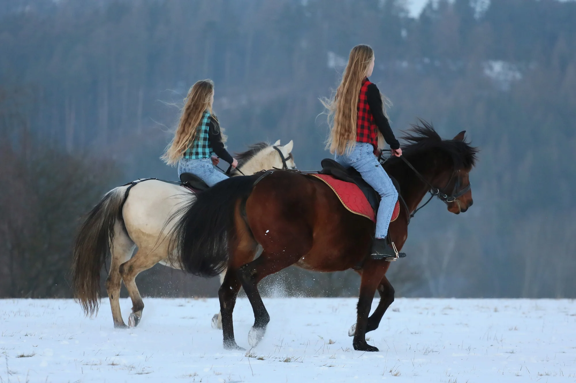 Vyjížďka na koních pro dva jezdce na 1 nebo 2 hodiny - Obrázek 6