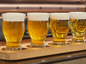 Prohlídka muzea pivovarnictví a degustace piv