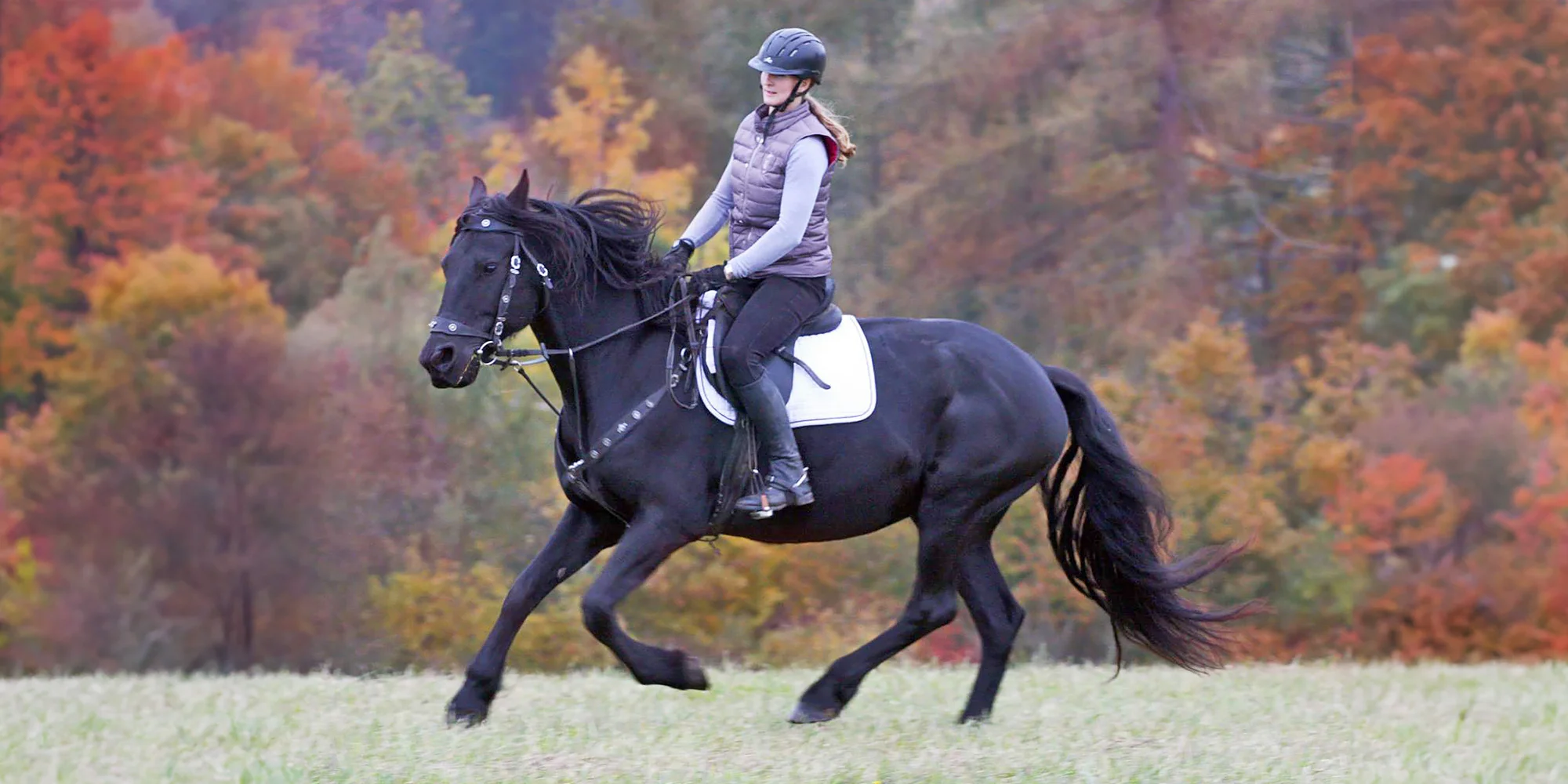 Vyjížďka na koních pro dva jezdce na 1 nebo 2 hodiny - Obrázek 3