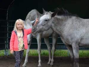 1,5 hodiny na ranči: projížďka na koni i krmení zvířat