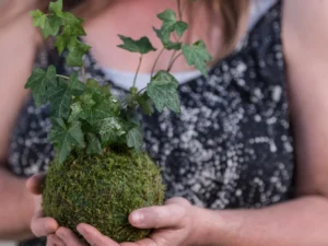 Workshop výroby kokedam v pražském ateliéru