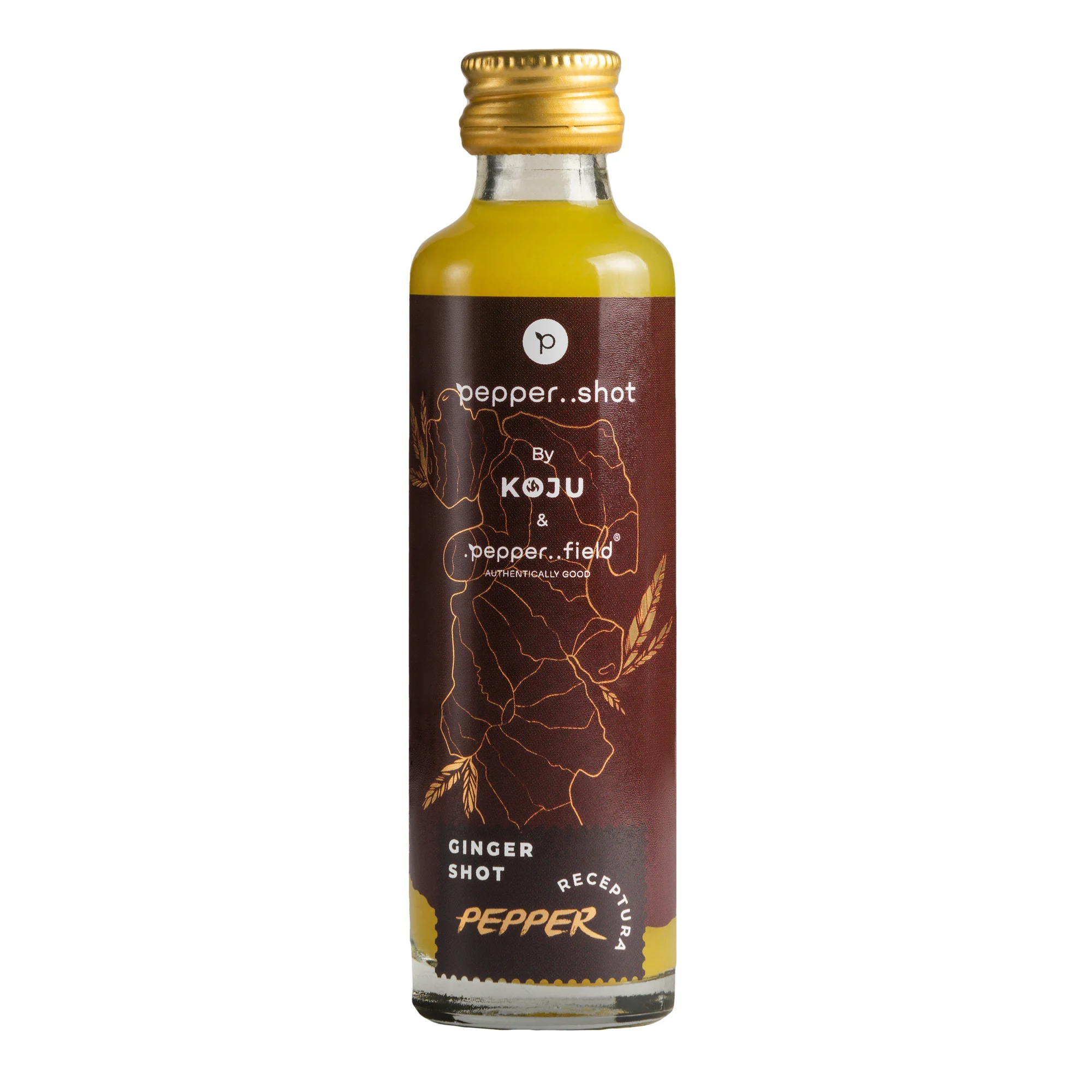 Ginger shoty i sirupy KOJU: 40, 320 nebo 540 ml - Obrázek 10