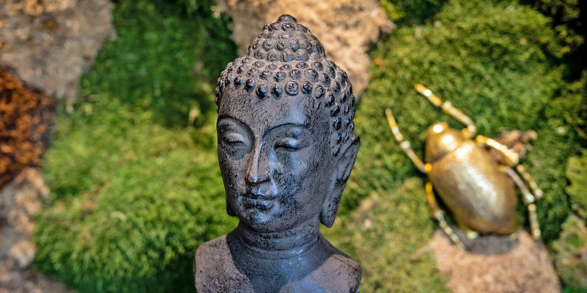 Kurz vaření thajské kuchyně od Café Buddha - Obrázek 5