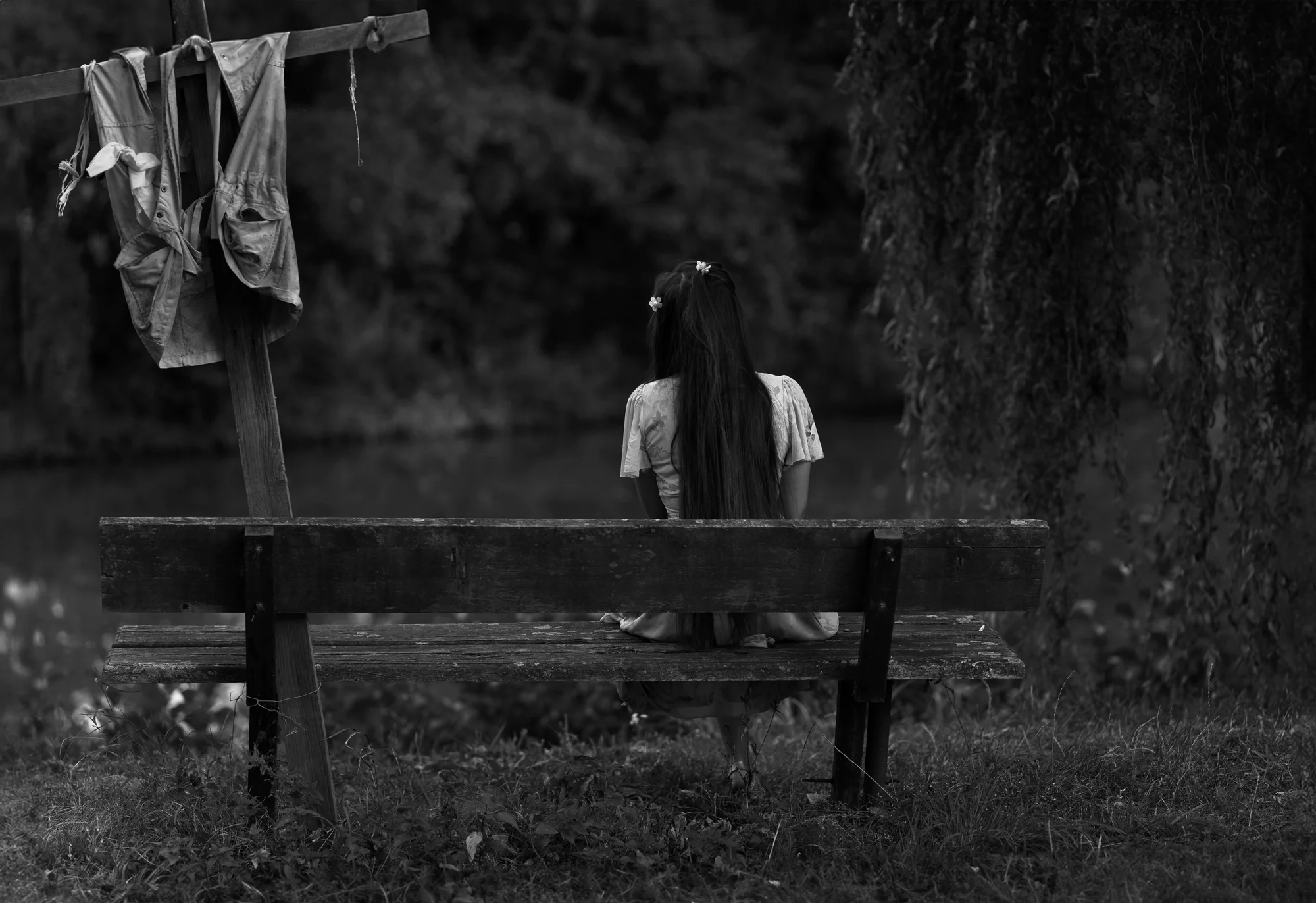 Profesionální focení: v ateliéru, venku i na farmě - Obrázek 10