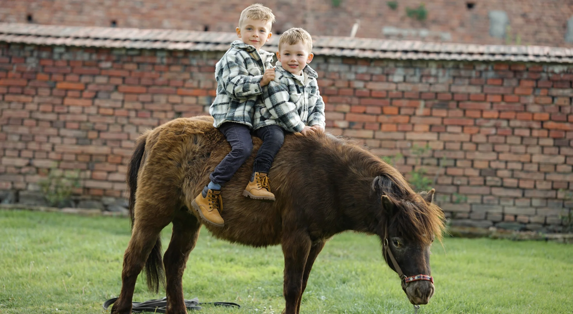 Profesionální focení: v ateliéru, venku i na farmě - Obrázek 3