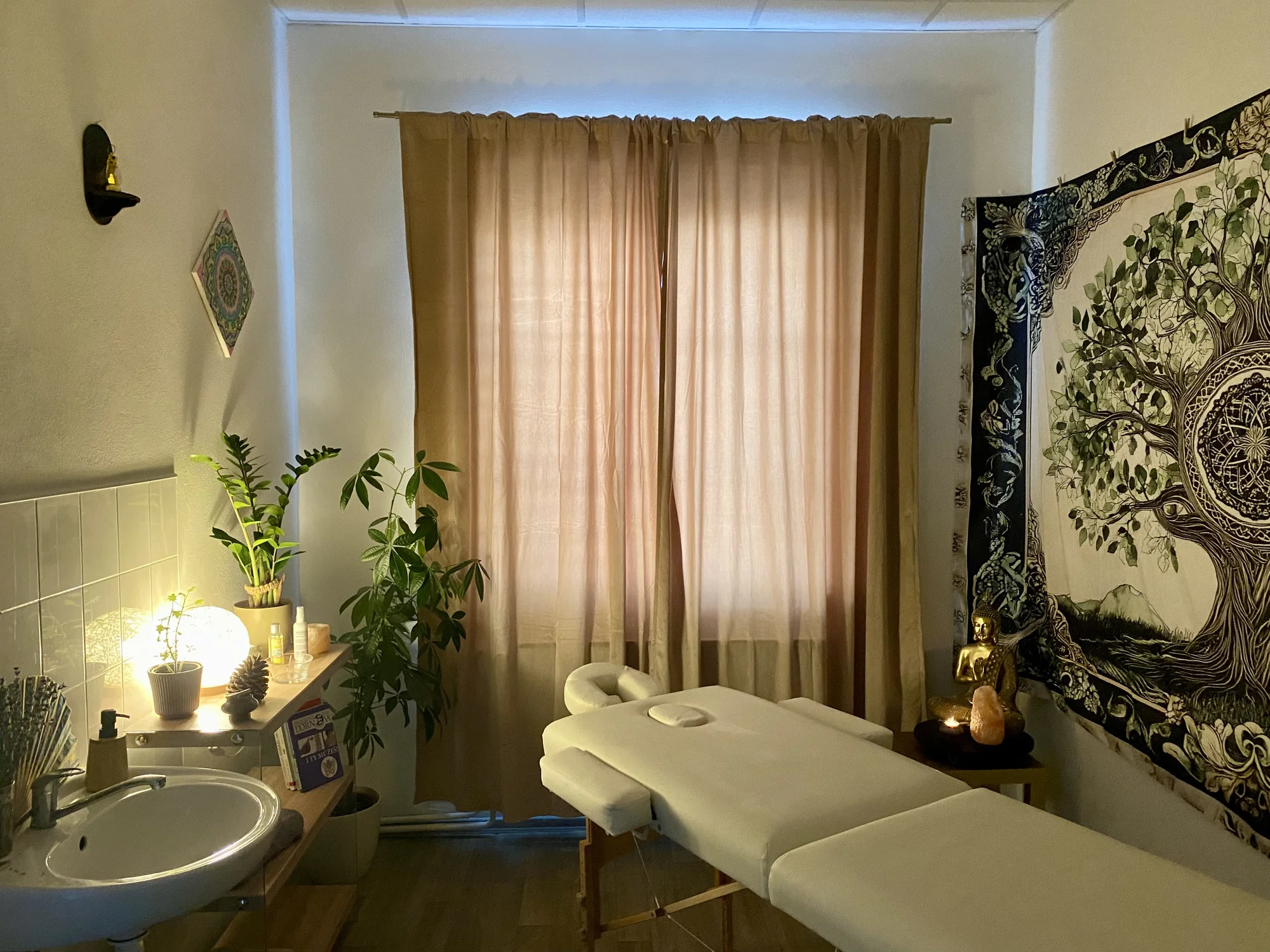 Masáže dle výběru: regenerační, antistresová i celostní - Obrázek 9