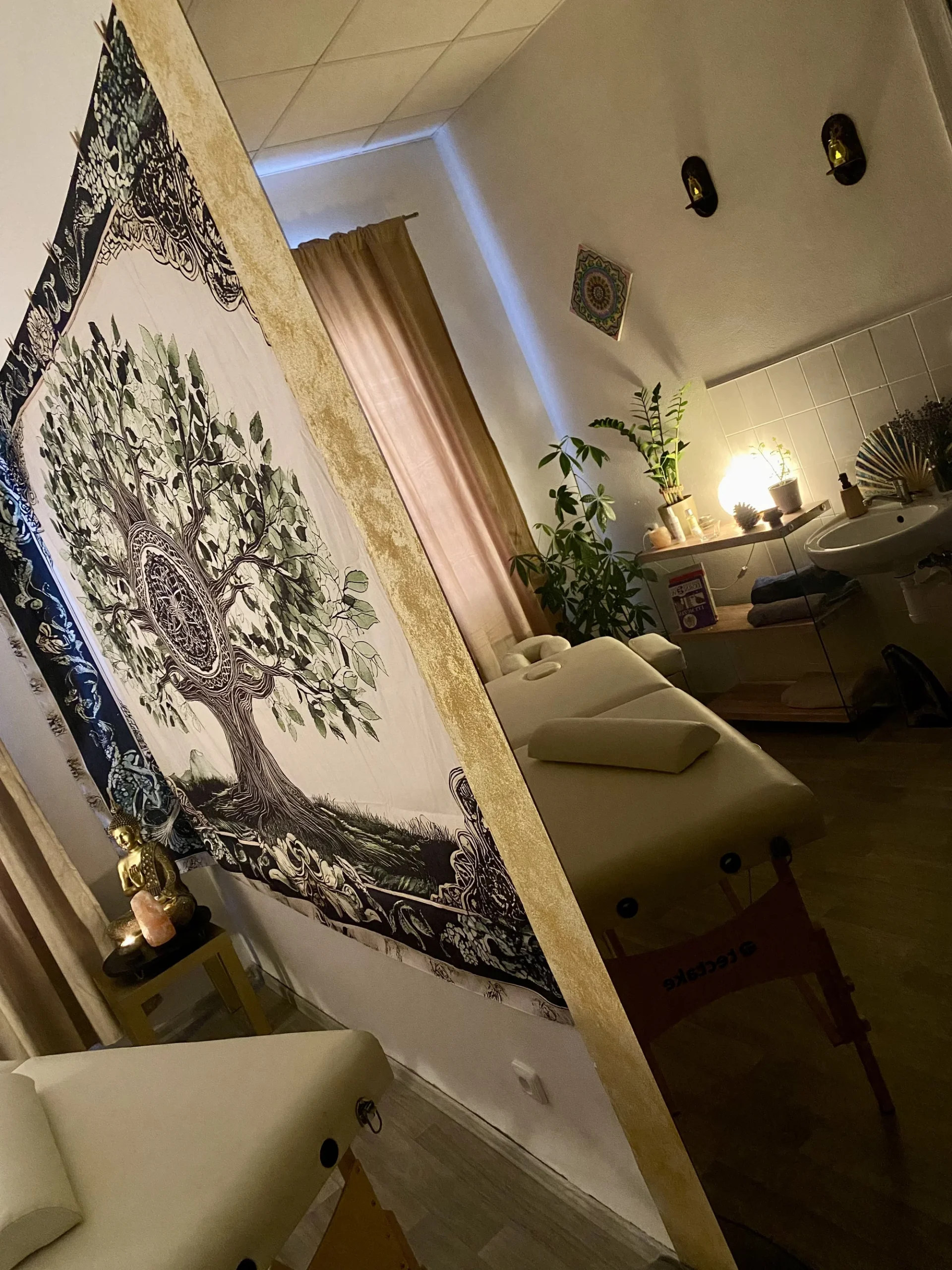 Masáže dle výběru: regenerační, antistresová i celostní - Obrázek 8