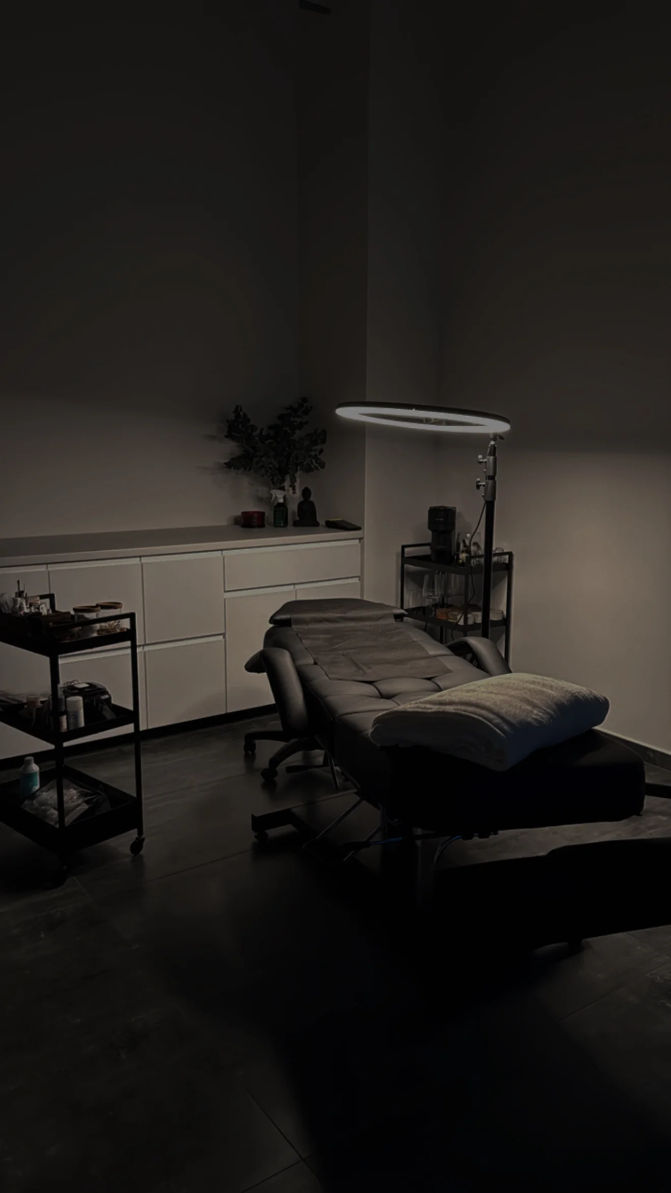 Kosmetické ošetření pleti i vč. masáže obličeje - Obrázek 7