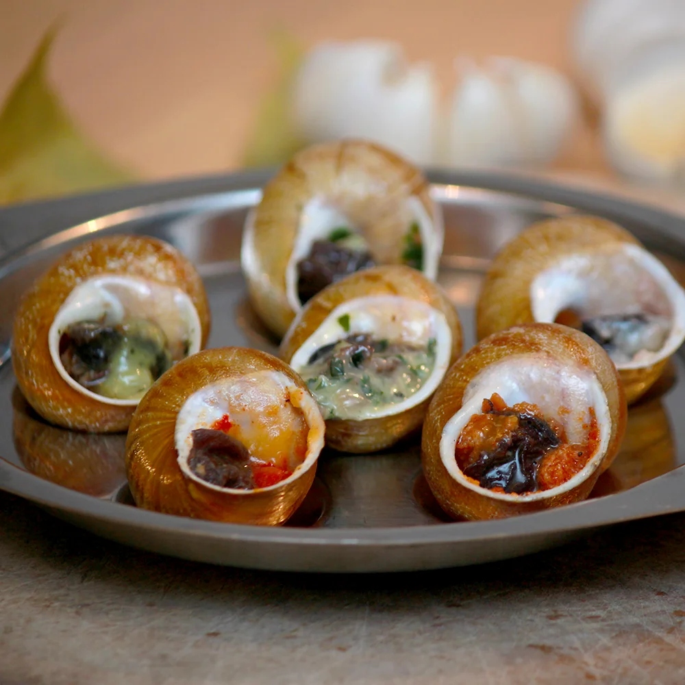 Exkurze na šnečí farmu i s ochutnávkou pro 1–6 osob - Obrázek 10