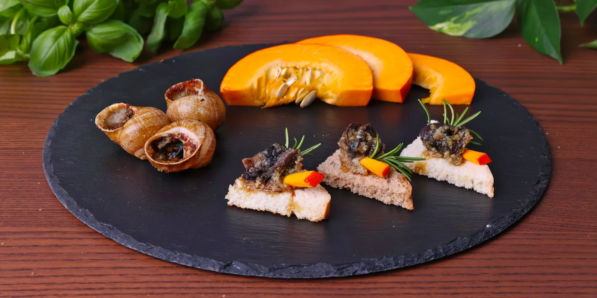 Exkurze na šnečí farmu i s ochutnávkou pro 1–6 osob - Obrázek 3