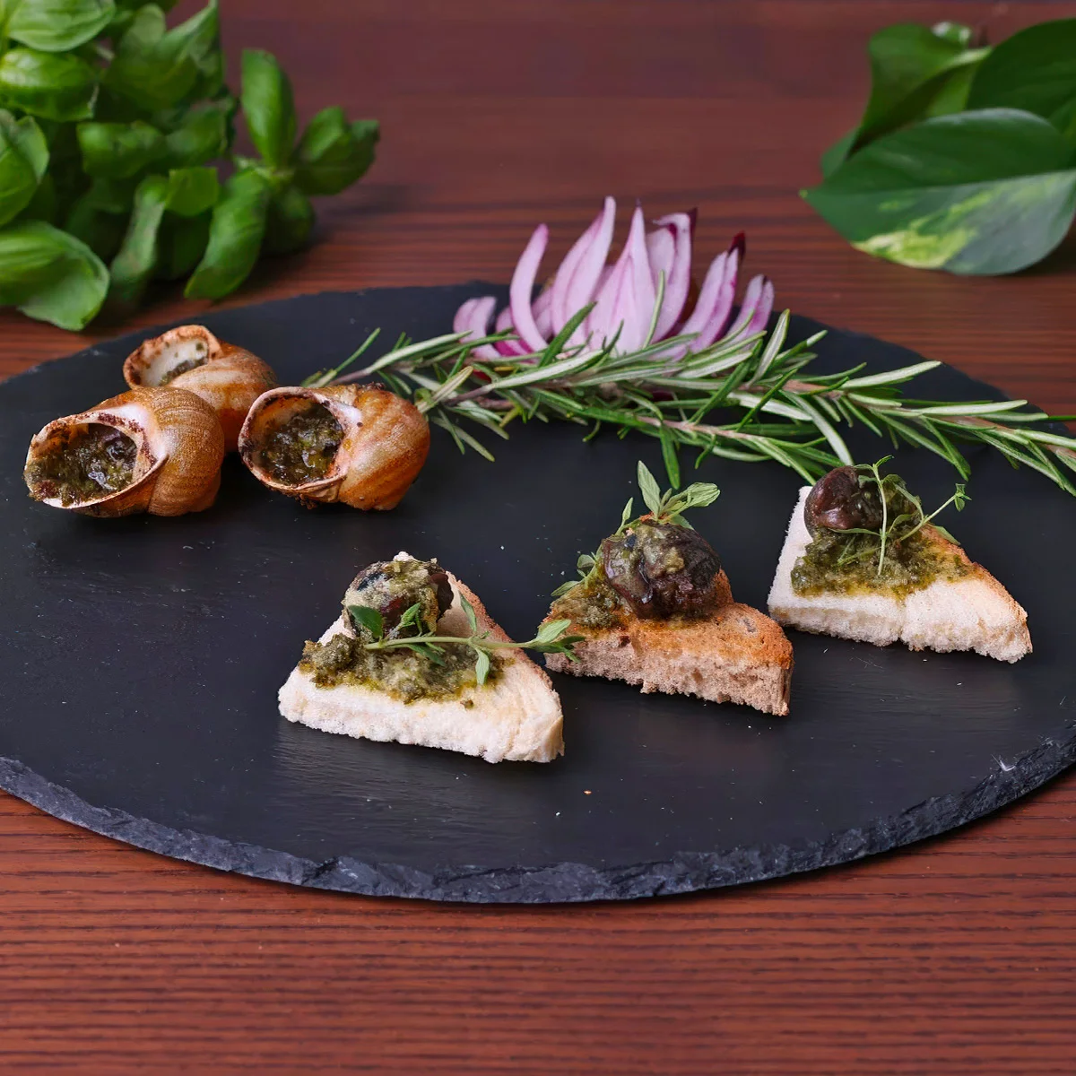 Exkurze na šnečí farmu i s ochutnávkou pro 1–6 osob - Obrázek 2