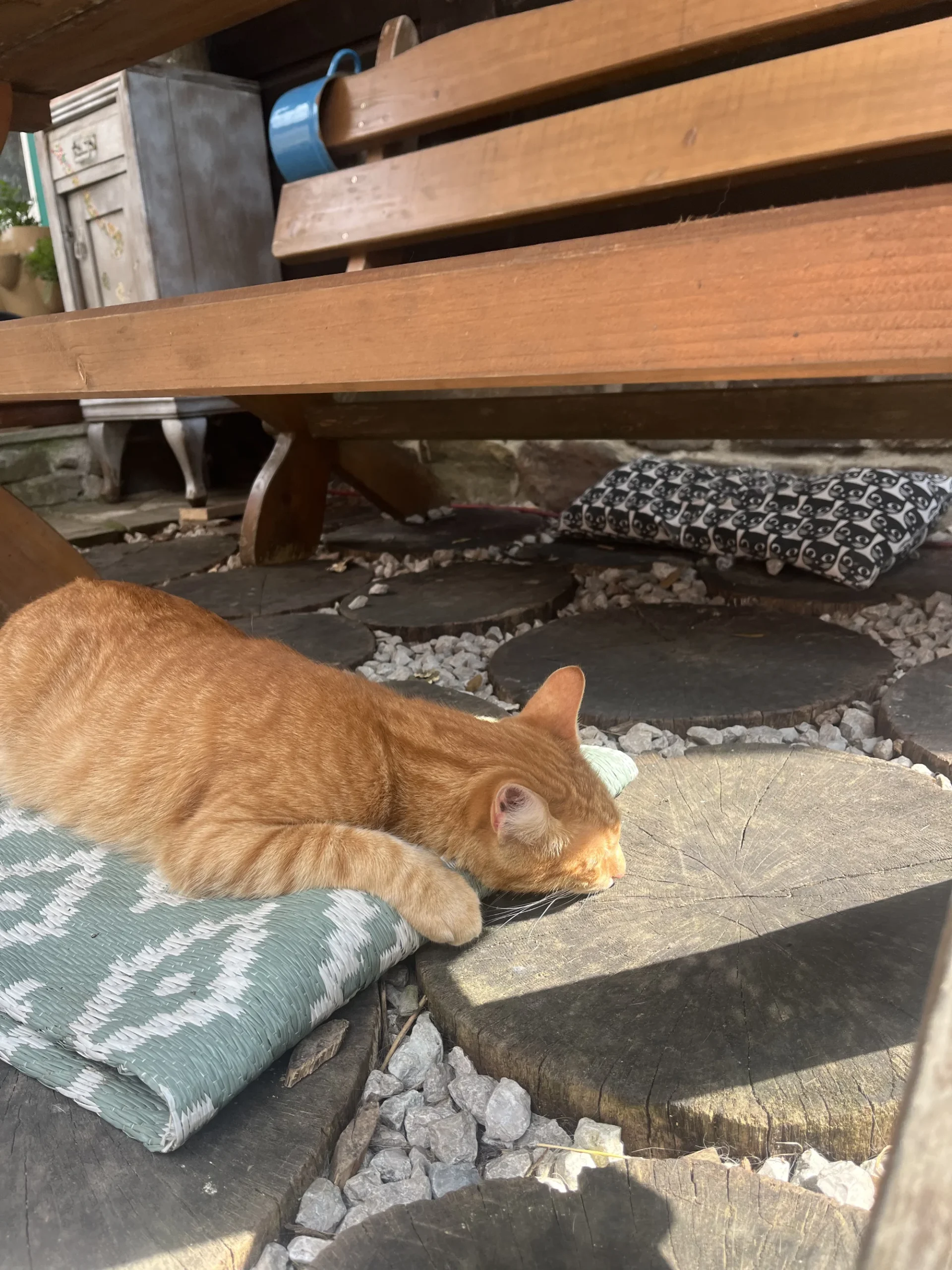 Farmářem na zkoušku či terapie kozami pro dva i rodinu - Obrázek 6