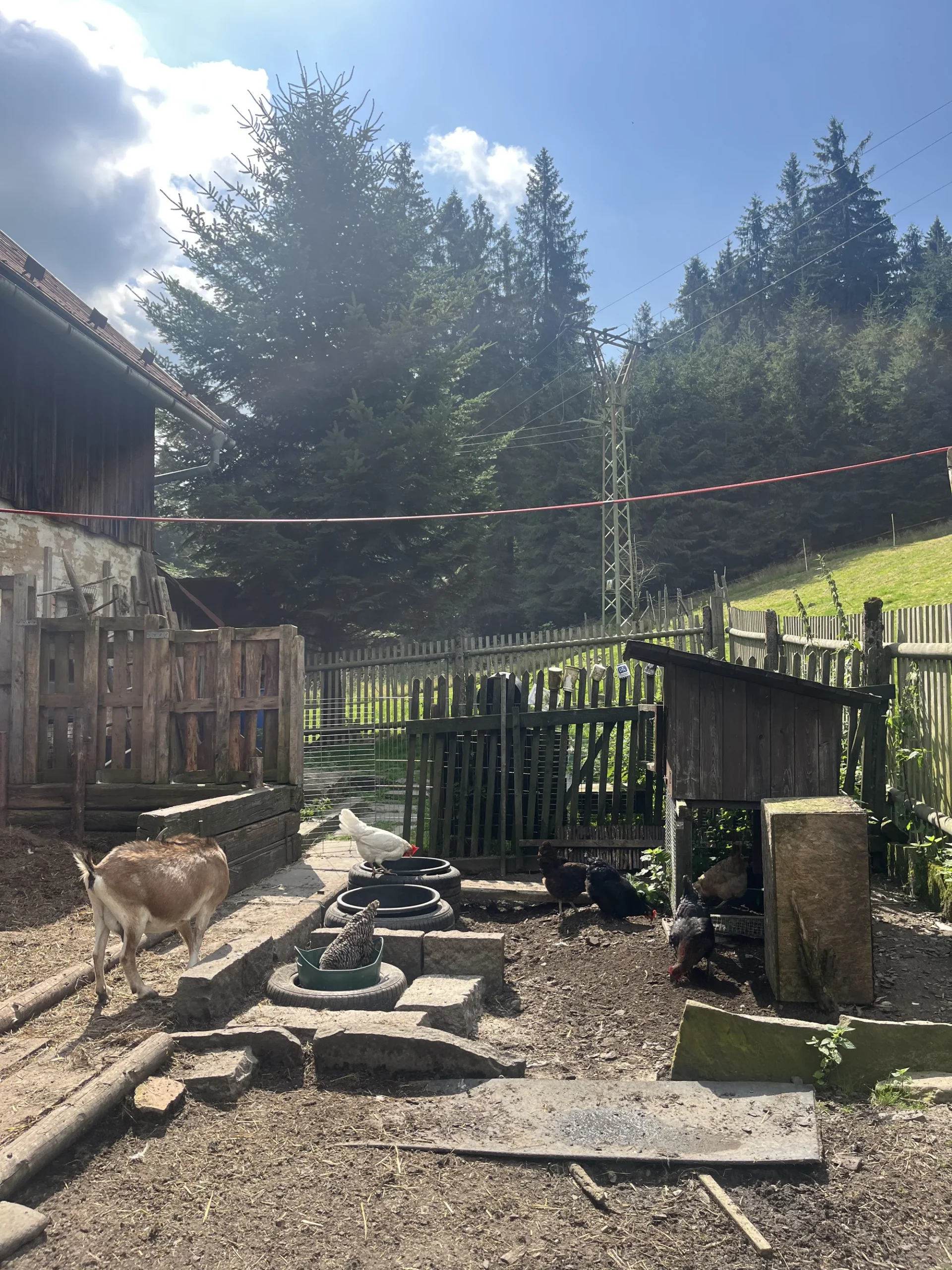 Farmářem na zkoušku či terapie kozami pro dva i rodinu - Obrázek 8