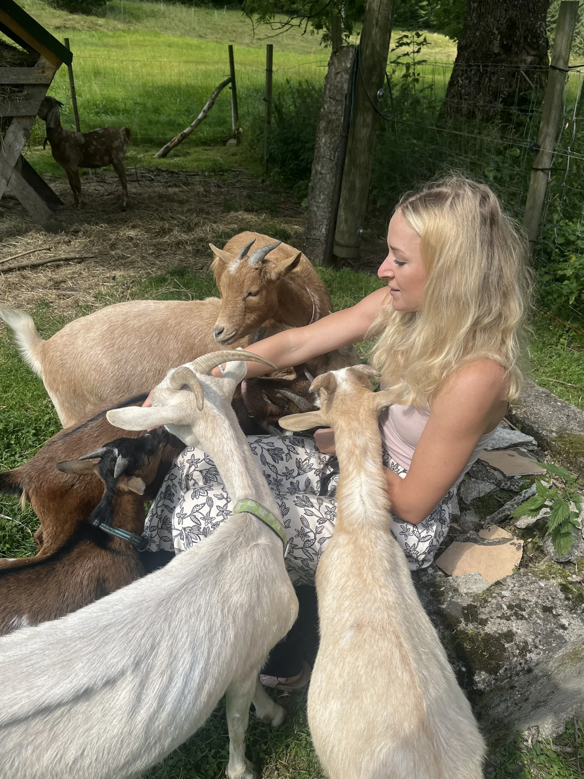 Farmářem na zkoušku či terapie kozami pro dva i rodinu - Obrázek 3