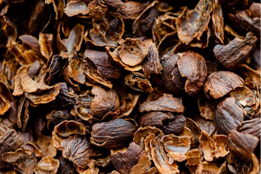 Cascara: čaj z kávových třešní, 150–500 g - Obrázek 6