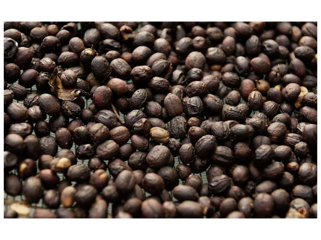 Cascara: čaj z kávových třešní, 150–500 g - Obrázek 7