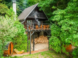 Pobyt v malebné wellness chatě u lesa