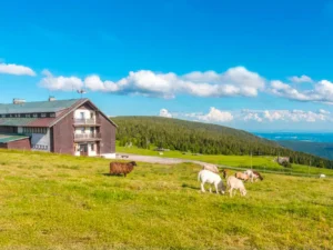 Dovolená přímo na hřebeni Krkonoš se stravou