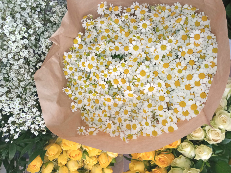 Kurz floristiky pro začátečníky - Obrázek 8