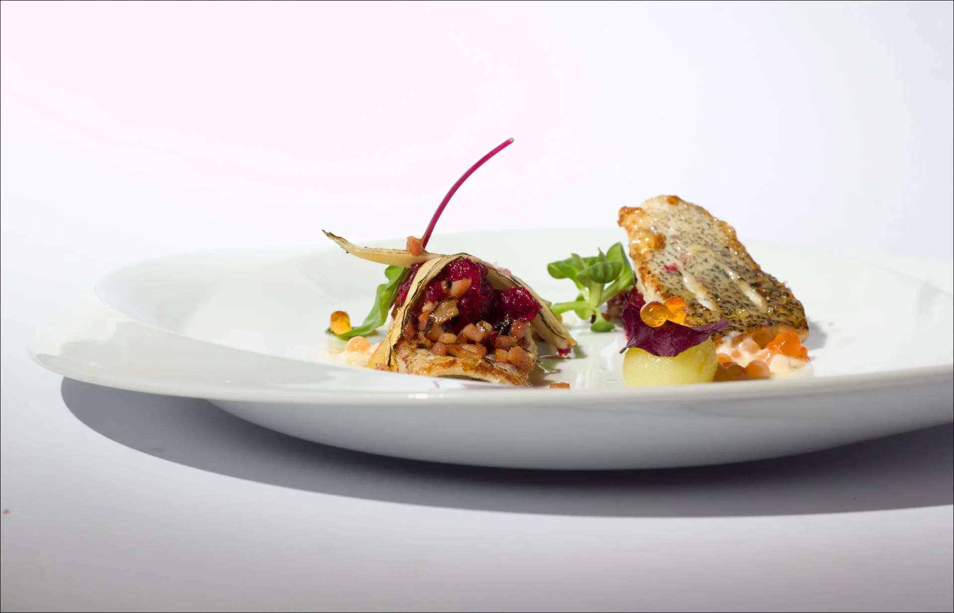 4-5chodové degustační menu v Chateau St. Havel - Obrázek 11