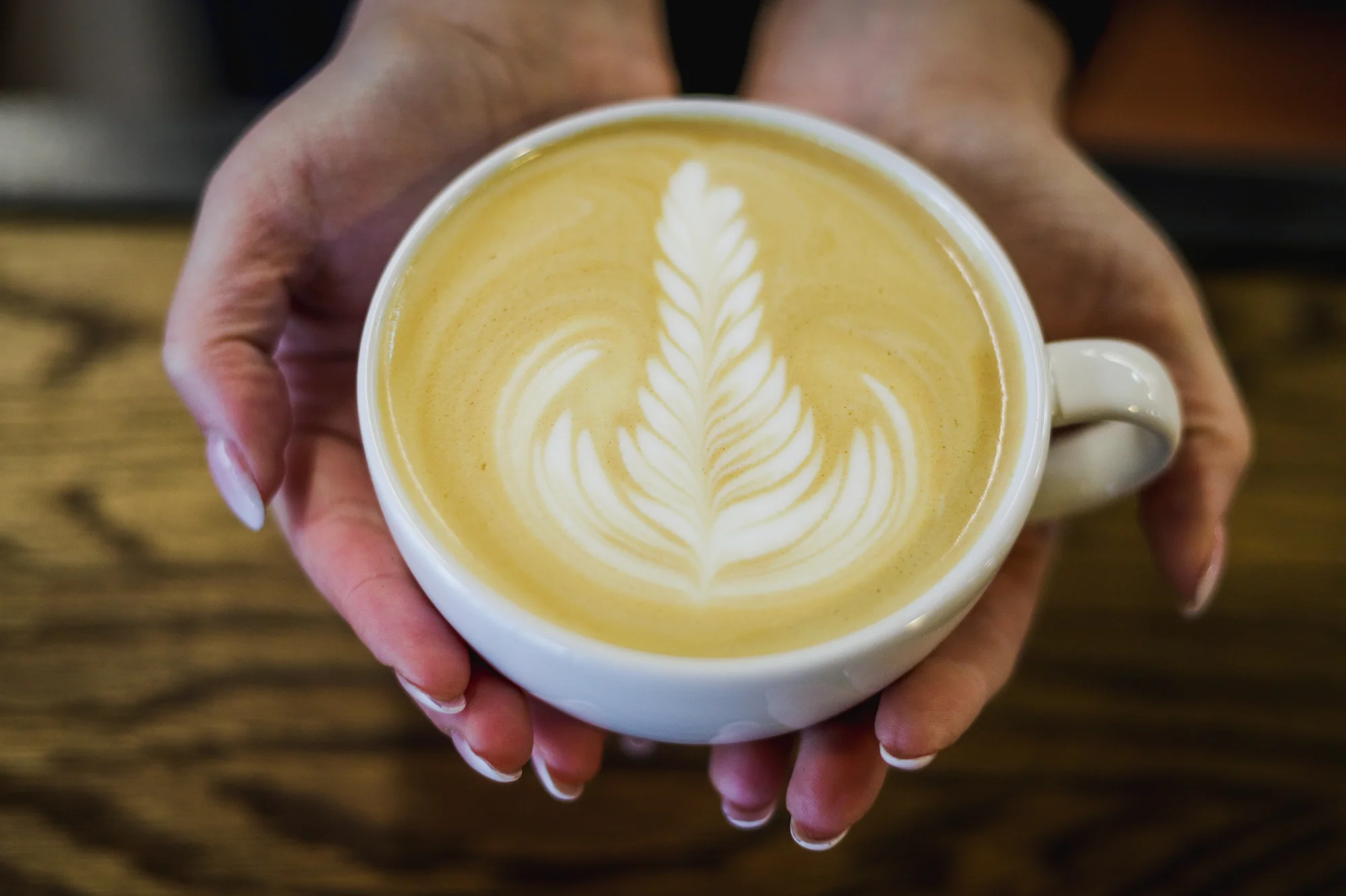 Latte art pro milovníky kávy i začínající baristy: 1-2 os. - Obrázek 6