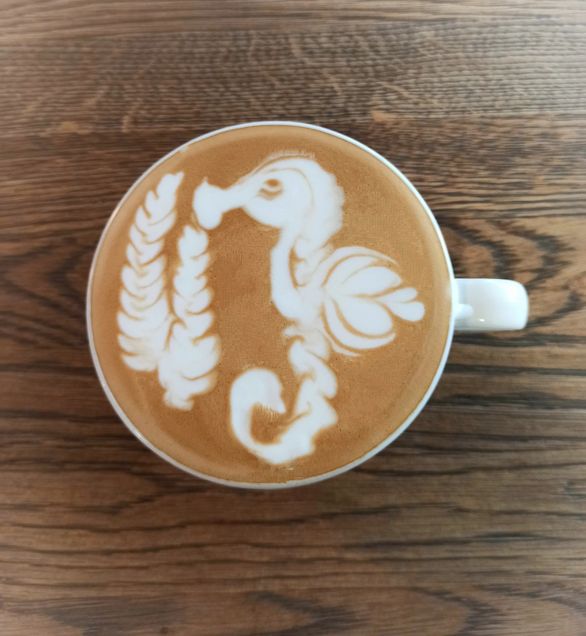 Latte art pro milovníky kávy i začínající baristy: 1-2 os. - Obrázek 8