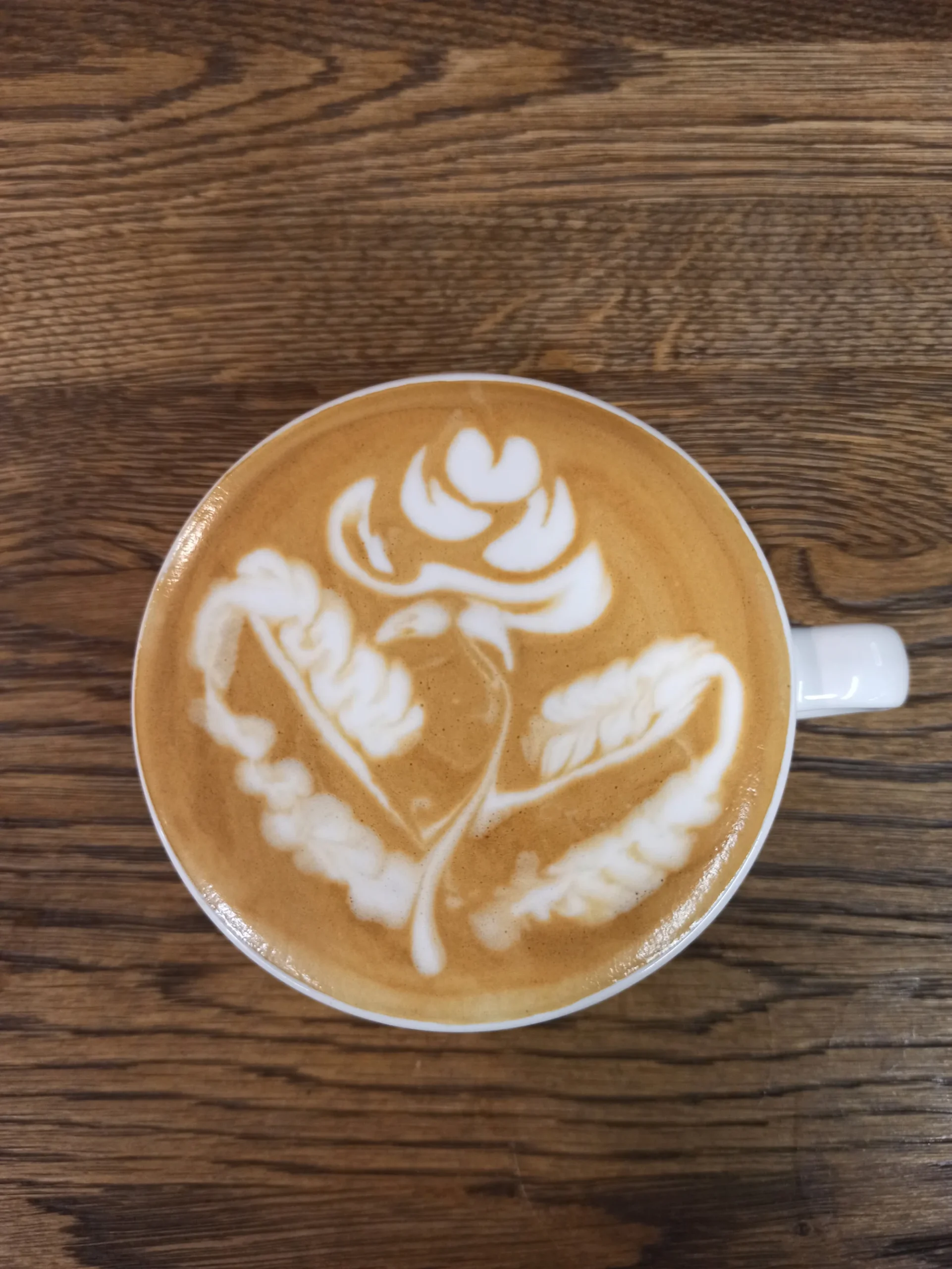 Latte art pro milovníky kávy i začínající baristy: 1-2 os. - Obrázek 10