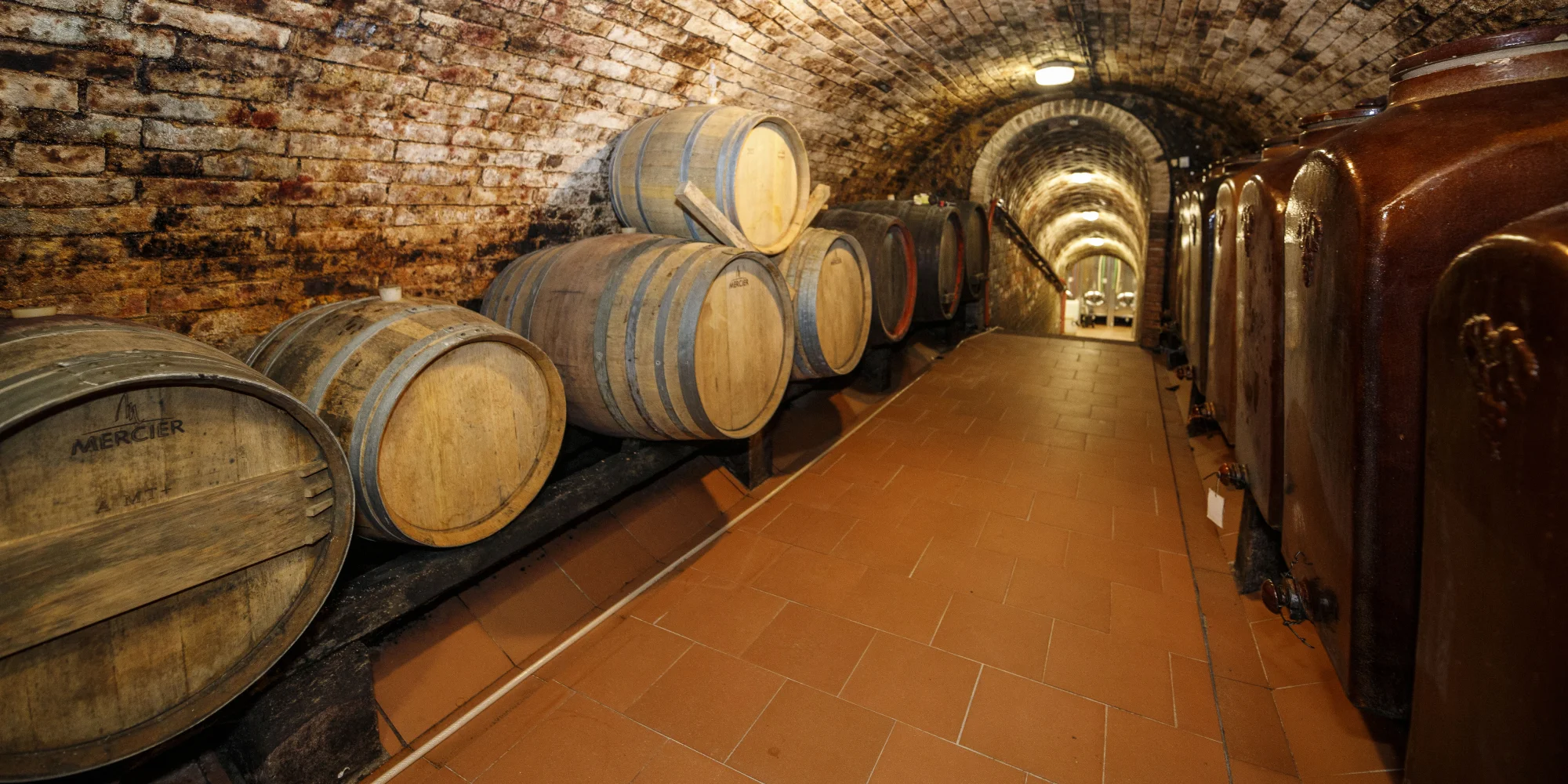 Za vínem na jižní Moravu: pobyt v penzionu a košty - Obrázek 4