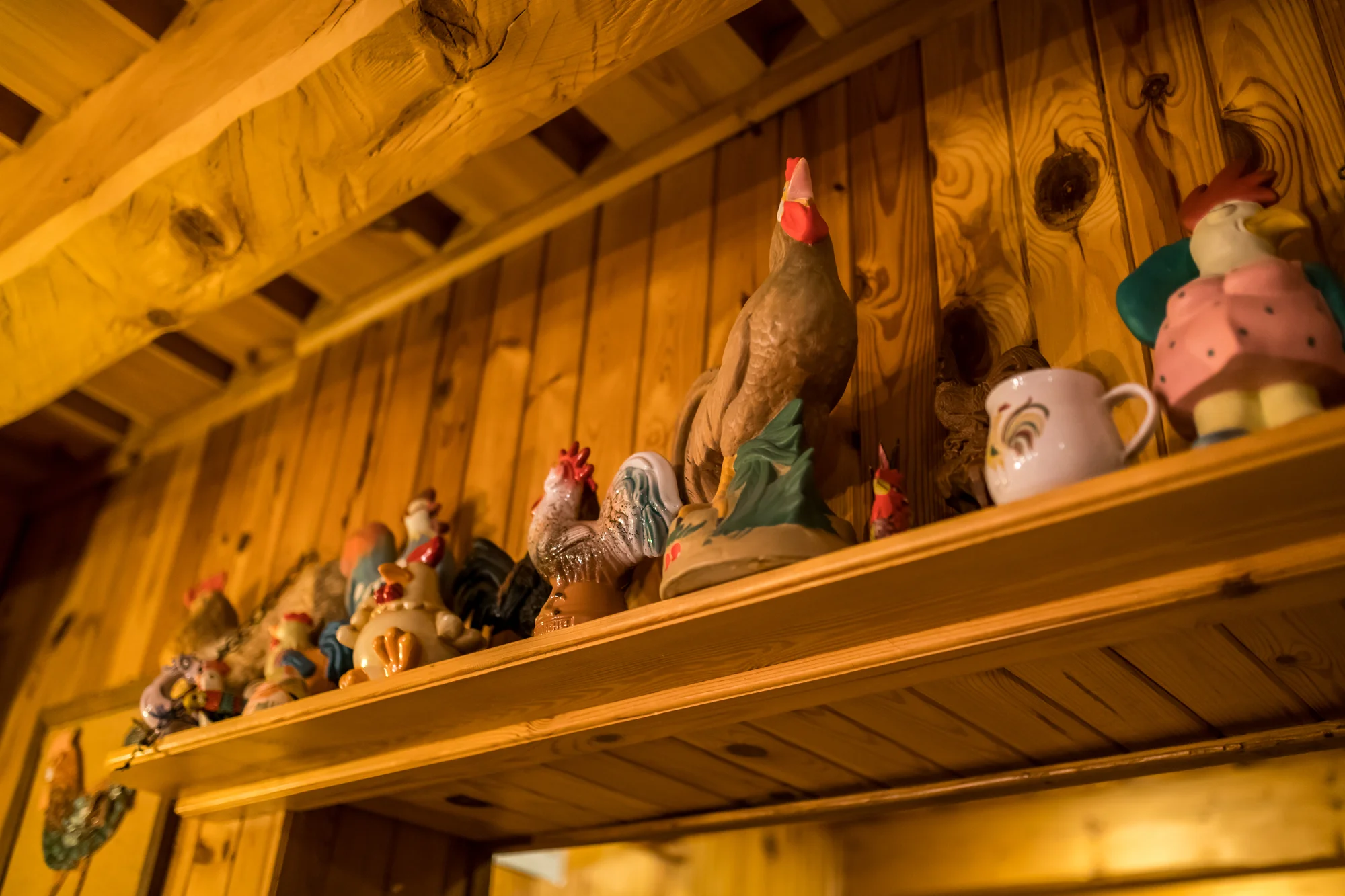 Valašská kyselice a borůvkové knedlíky pro 2 osoby - Obrázek 7