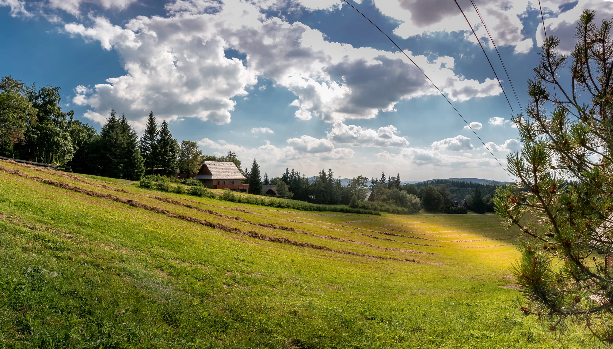 Valašská kyselice a borůvkové knedlíky pro 2 osoby - Obrázek 10