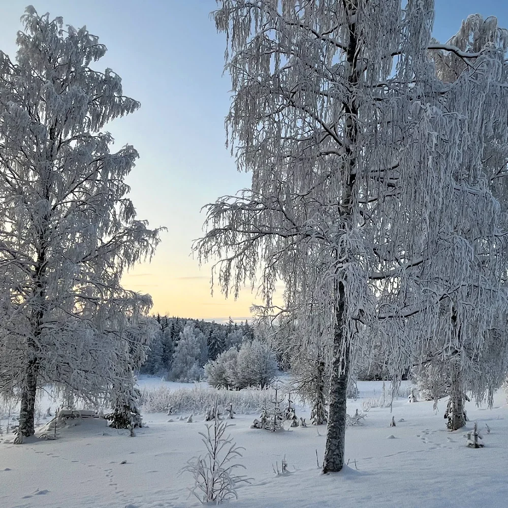 Dům ve Skandinávii uprostřed lesů a jezer, český majitel - Obrázek 2