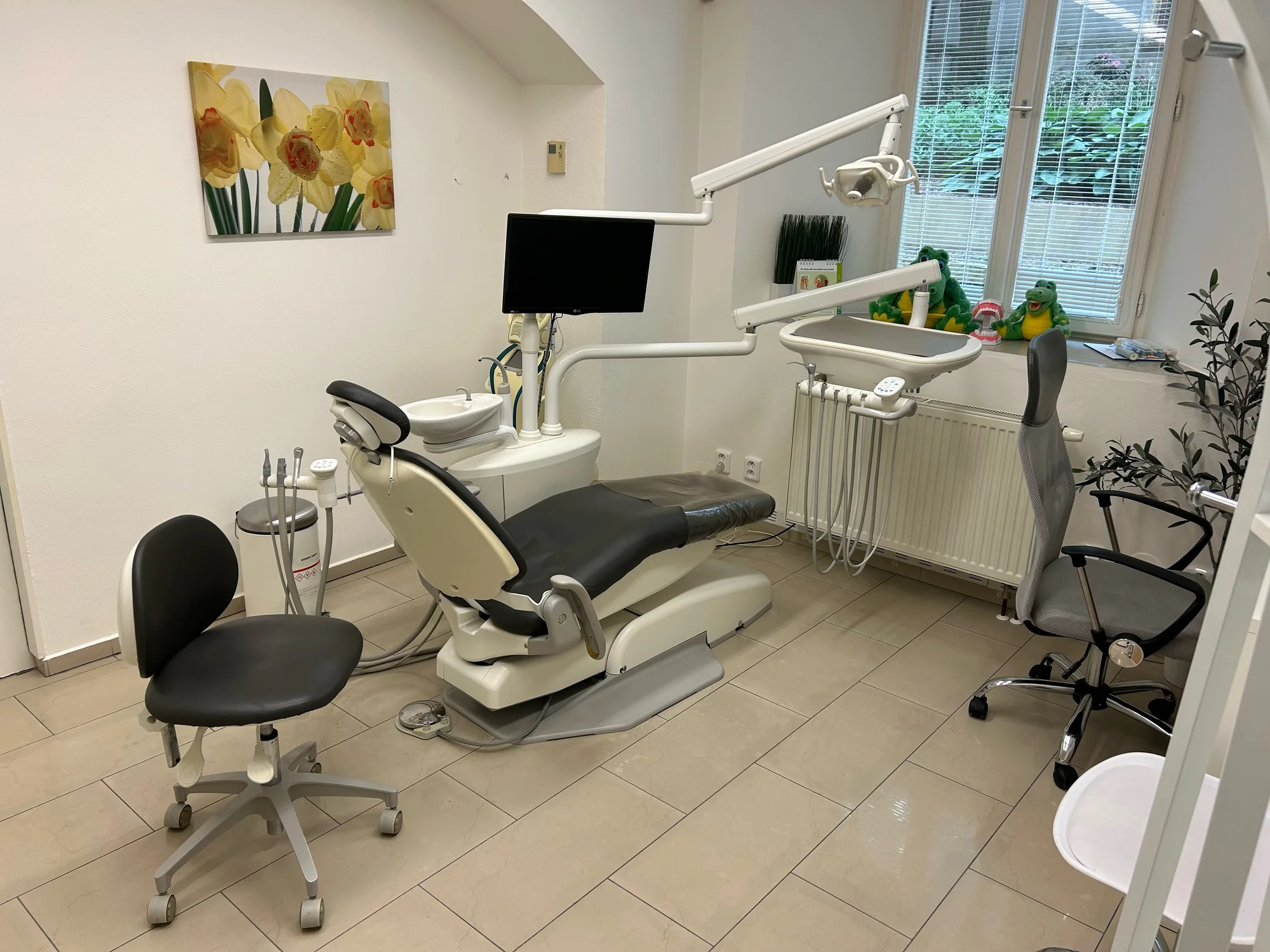 Dentální hygiena vč. Air Flow pro krásný úsměv - Obrázek 3