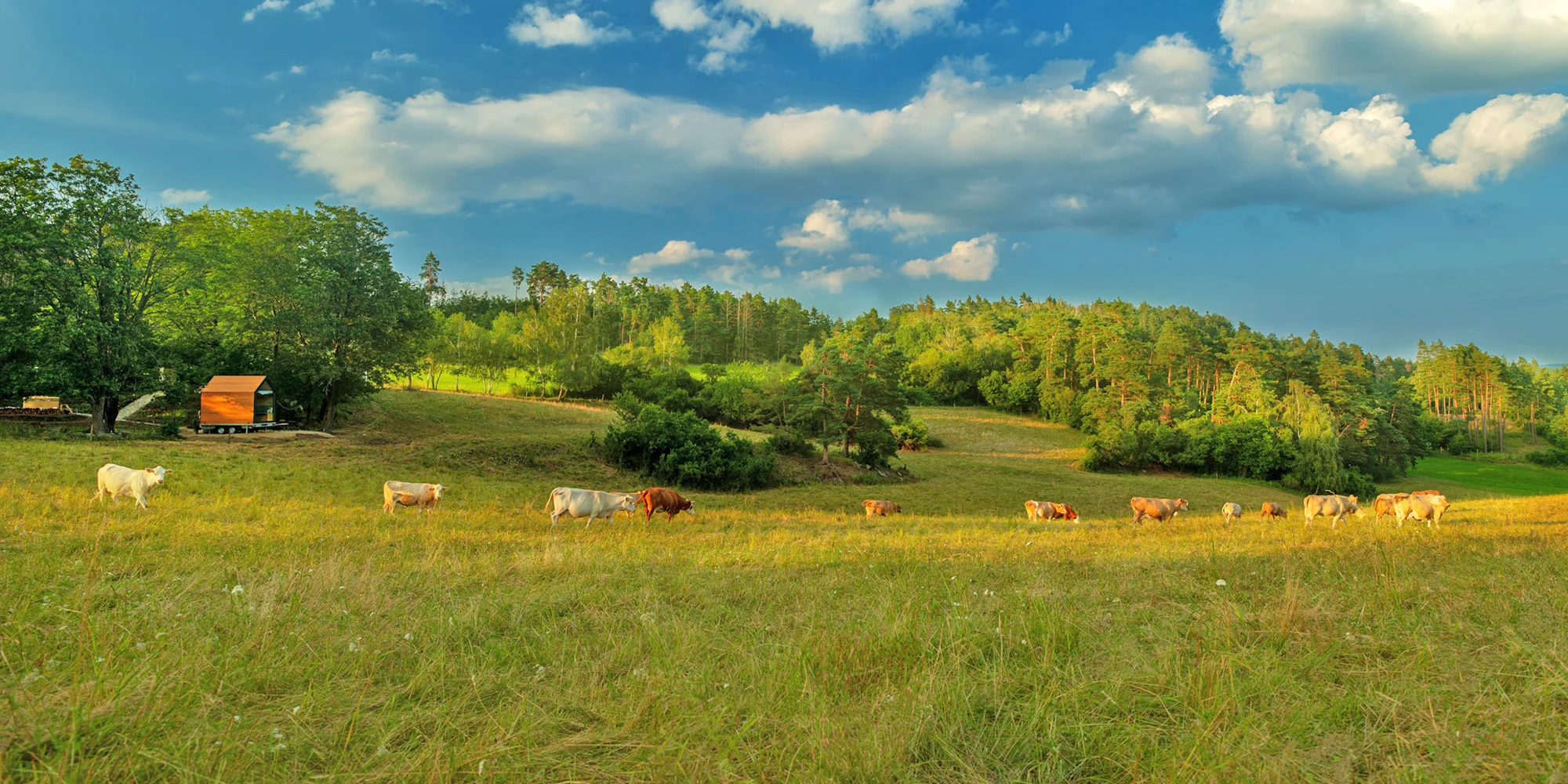 Tiny house uprostřed přírody: přírodní vyhřívaný sud i gril - Obrázek 5