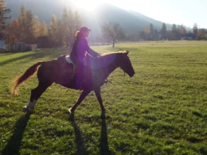 Projížďka na koni pro 1 či 2 osoby, 60 minut