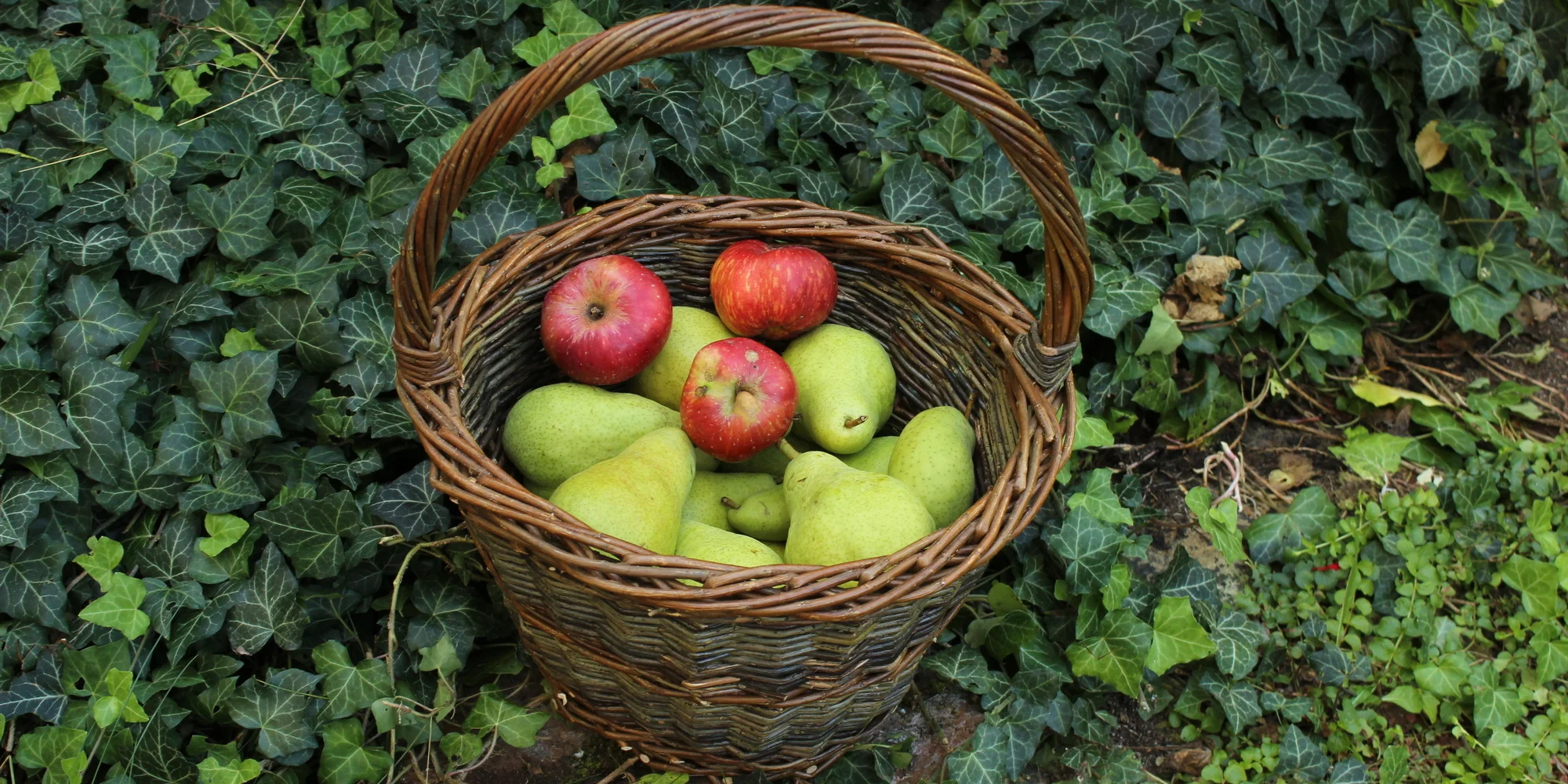 Kurz pletení kulatého koše v Pardubicích - Obrázek 5