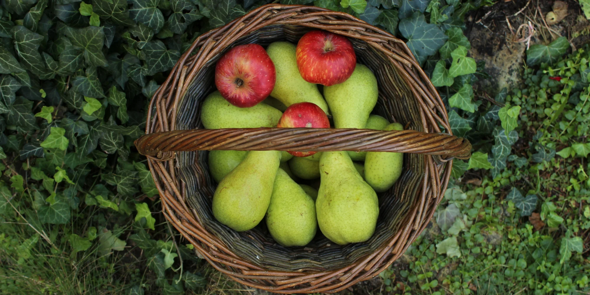 Kurz pletení kulatého koše v Pardubicích - Obrázek 6