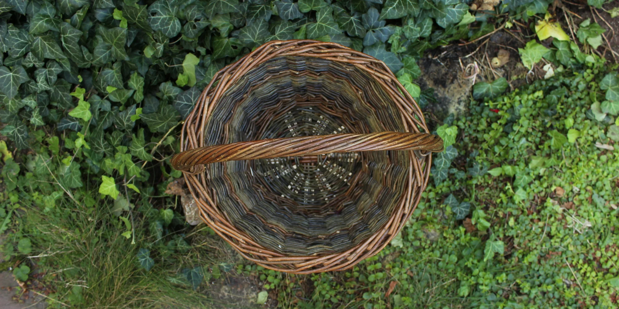 Kurz pletení kulatého koše v Pardubicích - Obrázek 7