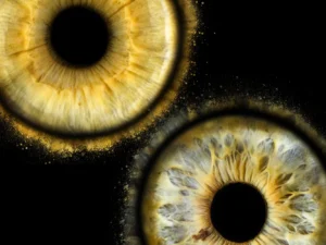 Fotografie duhovek v Praze, Třebíči a Liberci