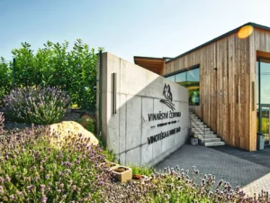 Pobyt u Mikulova: snídaně, degustace i lahev vína