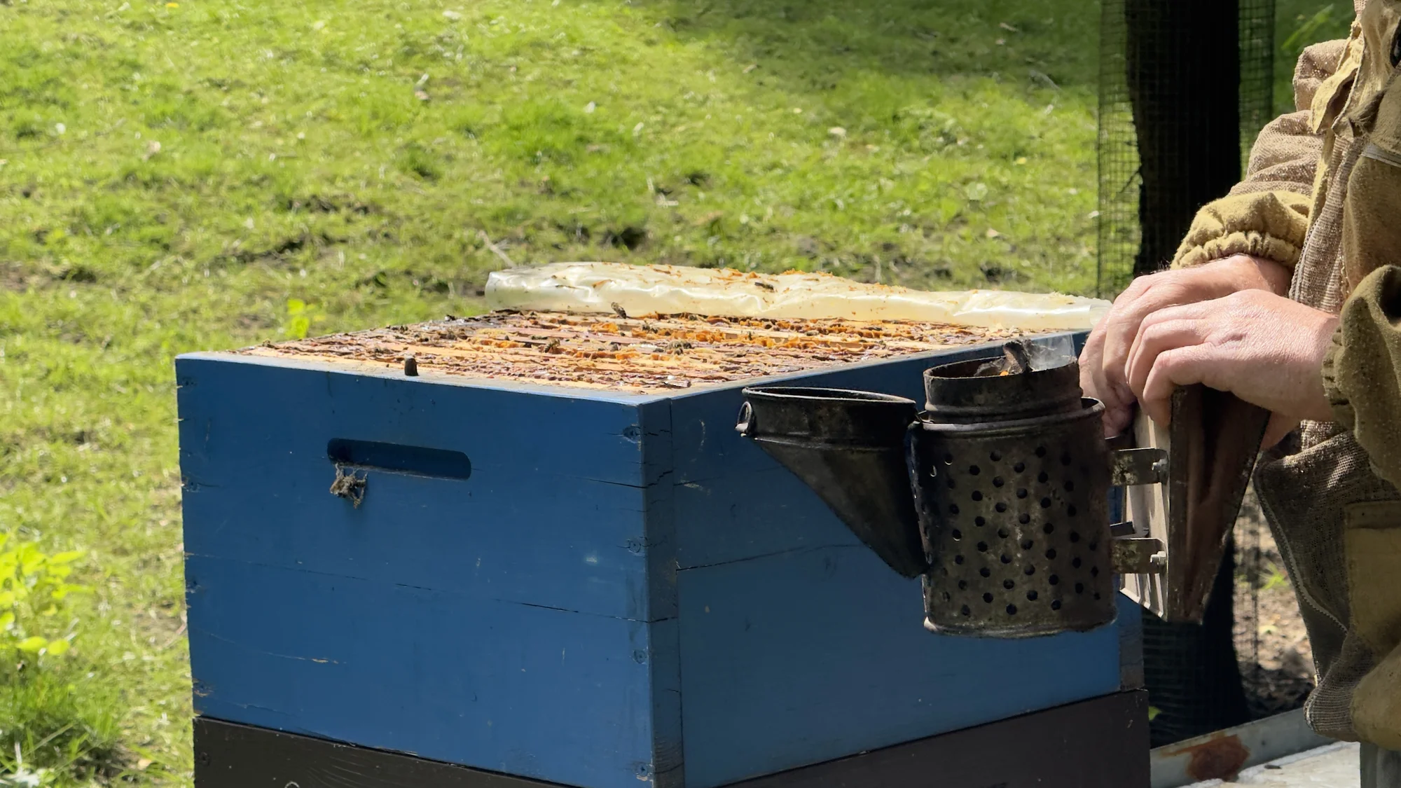 Včelařem na zkoušku: 60 minut i s ochutnávkou medu - Obrázek 9