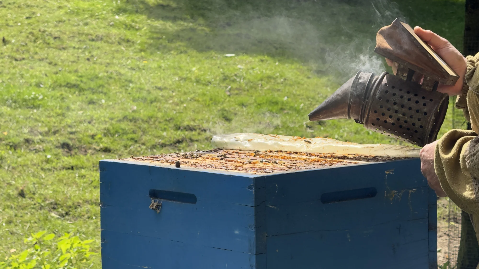 Včelařem na zkoušku: 60 minut i s ochutnávkou medu - Obrázek 11